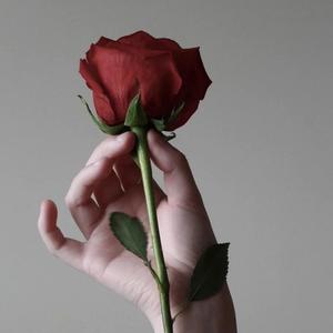 Kararim 决心（Cover亚克）