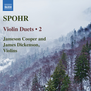 Duet for 2 Violins in D Minor, Op. 39, No. 1:II. Adagio