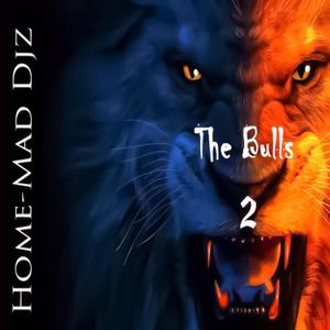 The Bulls Meet Emkay (feat. Da Real Emkay)