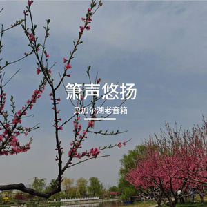 箫声悠扬