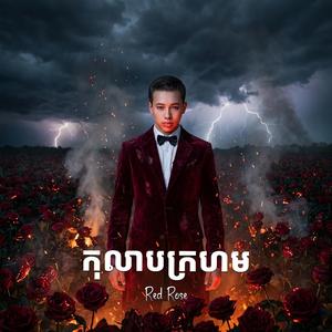 កុលាបក្រហម Red Rose