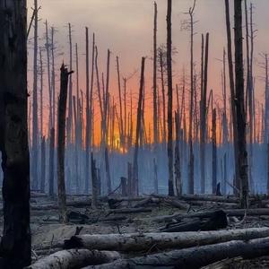 遥远的她 --木头