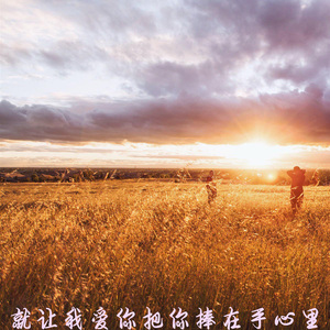 就让我爱你把你捧在手心里