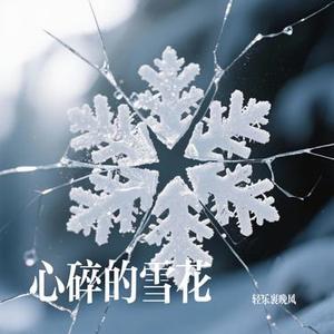 心碎的雪花 (Cover 海来兄弟)