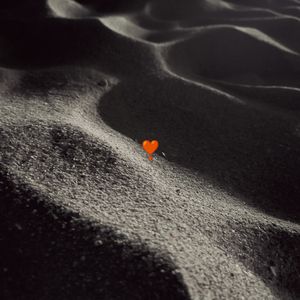 Love no Credit