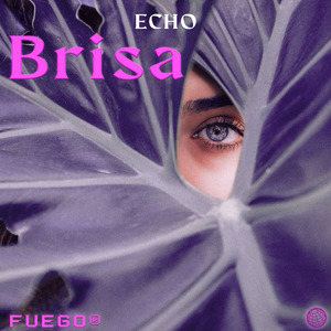 Brisa