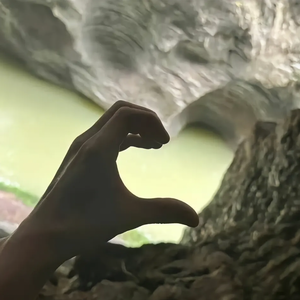 裂痕_114598381828458496_1773748332520(1)