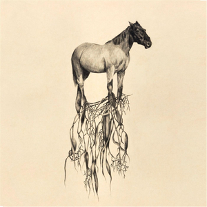 Spirit Means (Neti, Neti)