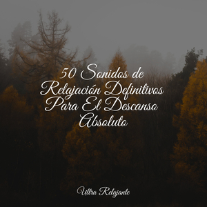 Las Estrellas De Arriba