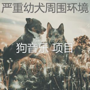温和训练你的狗梦想