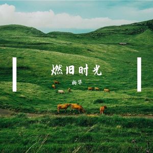 《燃旧时光》杨华