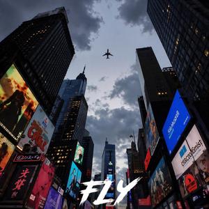 Fly