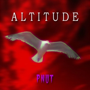 ALTITUDE