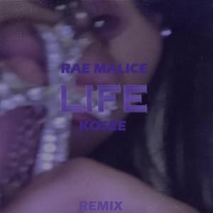 Life (feat. Rae Malice) (Remix)
