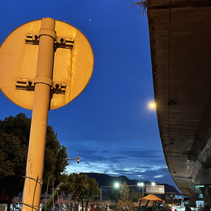 也许相爱有时候