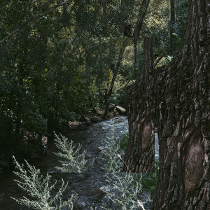 Voryxenth Zylpharyn (Original Mix)