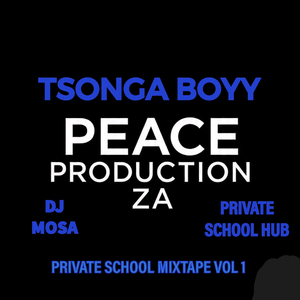 Private School Piano, Vol. 3