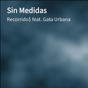 Sin Medidas