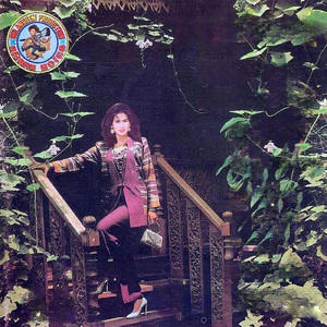 ដណ្តឹងកូនគេ