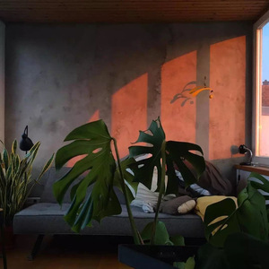 渡（Cover Joker Xue）