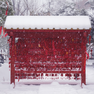 遥不可及的你（翻自 花粥）