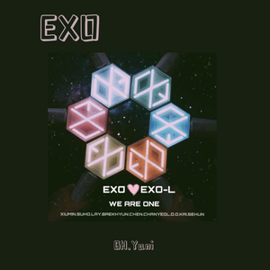 Been Through（翻自 EXO）