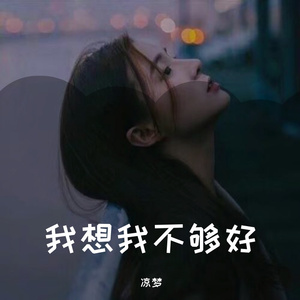 我想我不够好