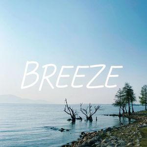 Breeze(T-House1 Sunshine Remix)