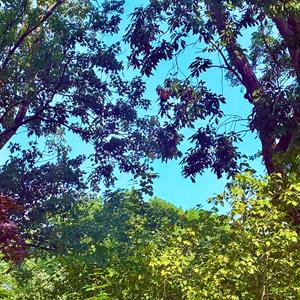 いつか、きっと