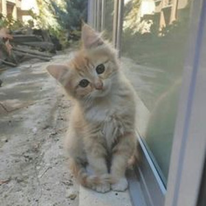 MODERN JAM (sped up)