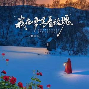 我在雪里看玫瑰 (DJ版)