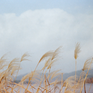 겨울(Fall in love)