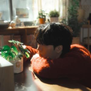 봄꽃