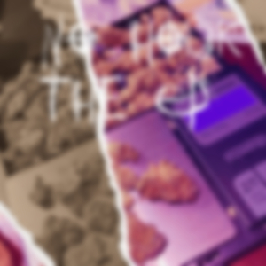 Somebody that I used to know (feat. Zayy 2times)