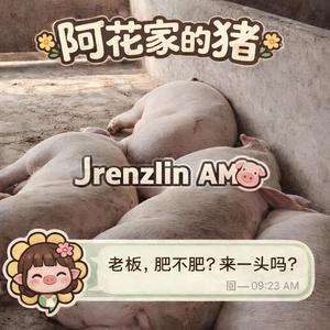 阿花家的猪