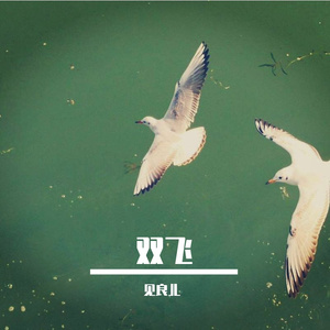 双飞
