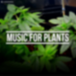 Music For Plants