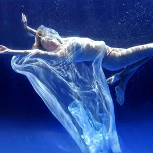 Journey to the shell (Sea)