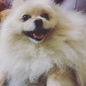 至少还有你（prod.by K2K）