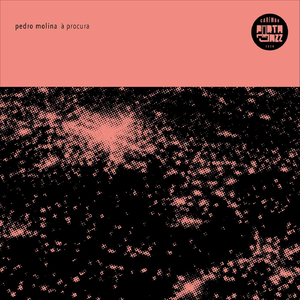 Will I Die, Nefertiti?