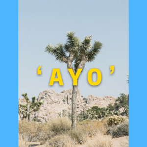 A Y O