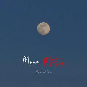 月球矩阵 Moon Matrix