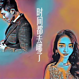 时间都去哪儿了（Cover 王铮亮）