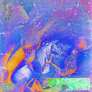 梦里踏雪几回DEMO