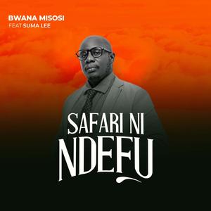 Safari NI Ndefu (feat. Suma Lee)