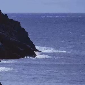 说叫我别再期待