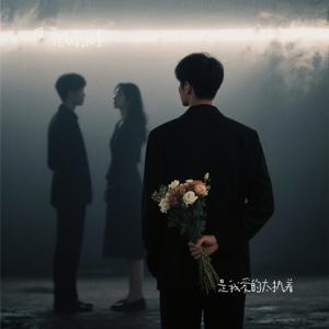 是我爱的太执着