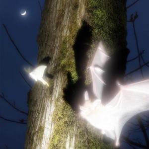 ABNORMAL (feat. SKIWELLZ)