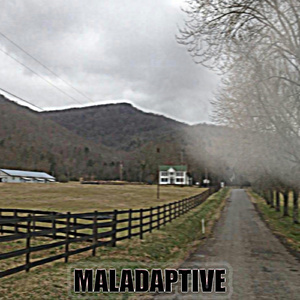maladaptive