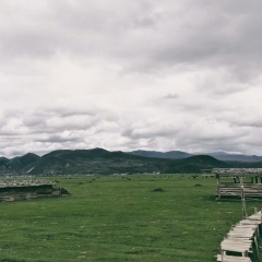 没入人海